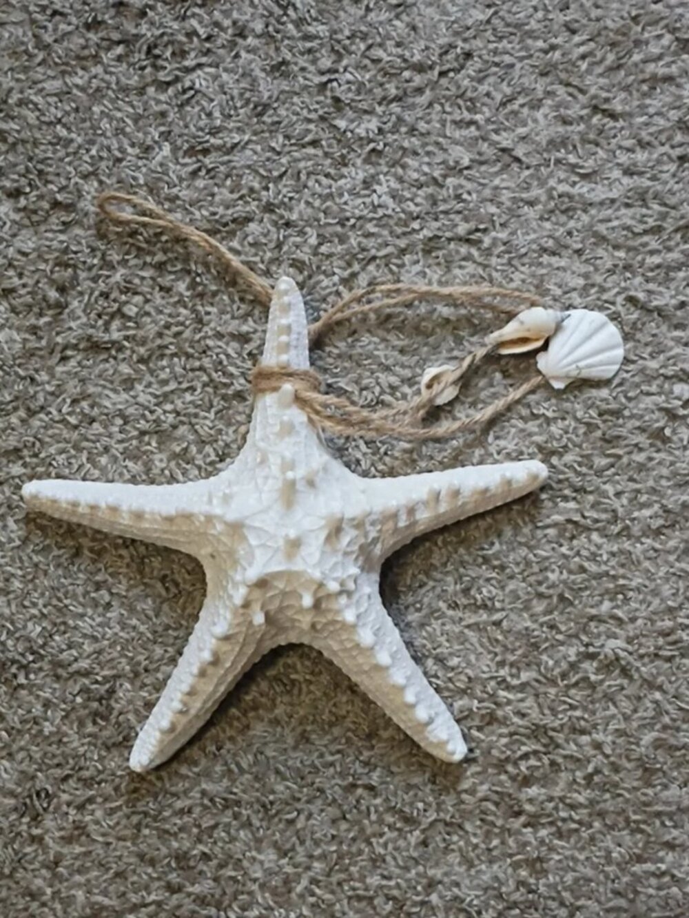 Report White Starfish Wall Decor with Natural Rope Accent